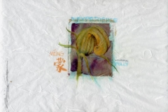 Polaroid image transfer Chein development