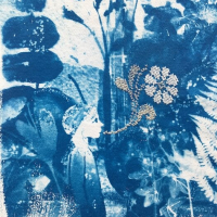 Cyanotype-The-Secret-Garden