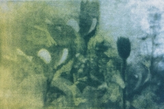 Gum bichromates pinhole 21