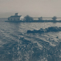 Cyanotype-Comacchio-Donnabona-Rosemary