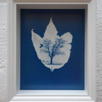 Cyanotypie-Double-exposure-in-a-shadow-box
