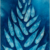 Wet-Cyanotype-Rhus-Typhina-c-Marion-Sidebottom