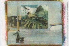 Gum bichromate Dreams from the marketplace