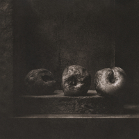 Kallitype-3-Plastic-Peaches