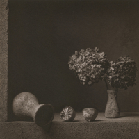 Kallitype-Hydrangea