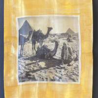 Polaroid-Lift-Camels-at-Giza