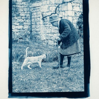 Cyanotype-Madame-B-and-her-cat