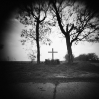 Pinhole Autumn