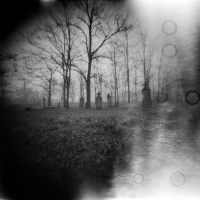 Pinhole Dark forest