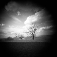 Pinhole The countryside