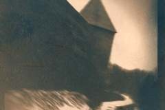 Cyanotype Untitled 4