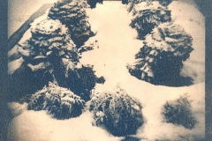 Cyanotype Untitled 5
