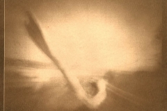 Cyanotype Untitled 7
