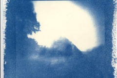 Cyanotype Untitled 8