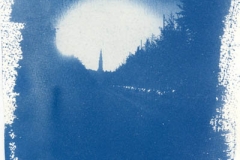 Cyanotype Untitled 9
