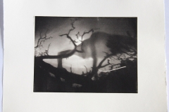 Photopolymer gravure III
