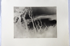Photopolymer gravure IV