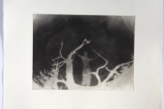 Photopolymer gravure V