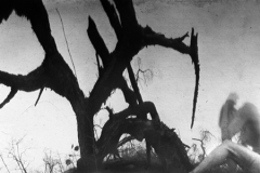 Pinhole Anamorph I