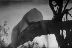 Pinhole Anamorph III
