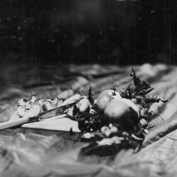 Wetplate Apples