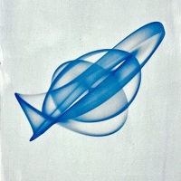 Cyanotype-In-Chaos-2