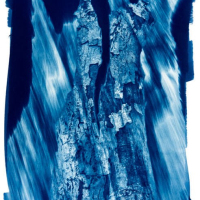 Cyanotype-Abide