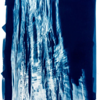 Cyanotype-Fragment