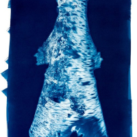 Cyanotype-Revolve