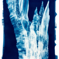 Cyanotype-Sever