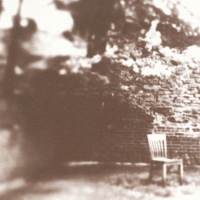 Saltprint Recluse