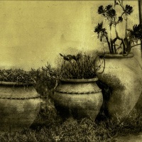 Bromoil-Garden-pots