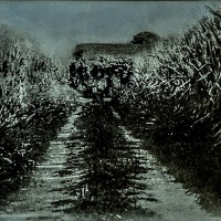 Bromoil-The-corn-field-house