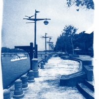 Cyanotype Ocean Front
