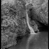 Platinum and palladium Rainy Day in Hana
