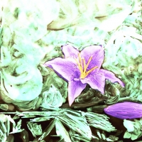 Painted-Negative_Untitled_4