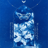 Cyanotype-Seekers-of-Refuge