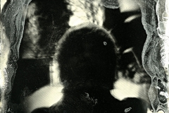 Wetplate collodion Absinthe of Self