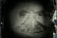 Wetplate collodion Ophelia