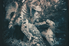 Gum bichromate 08 Dragon Parcodei Mostri