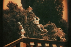 Gum bichromate 11 Monkeys and Satyrat Garzoni
