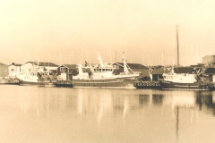 Lith print Fishing