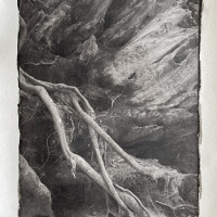 Platinotype-Ancient-Redwood-Roots