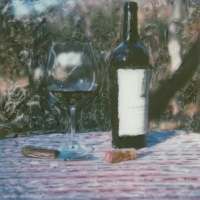 Polaroid SX-70 Broken glass staglin 1