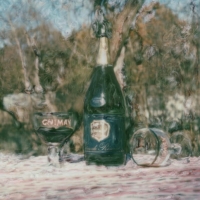 Polaroid SX-70 Chimay 1