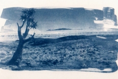 Cyanotype Naukluft