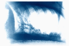Cyanotype Oseberg