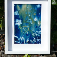 Cyanotype-Aquarium