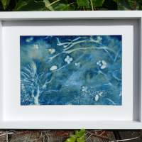 Cyanotype-Berceuse-dautomne