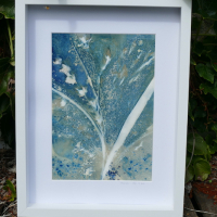 Cyanotype-Inspiration